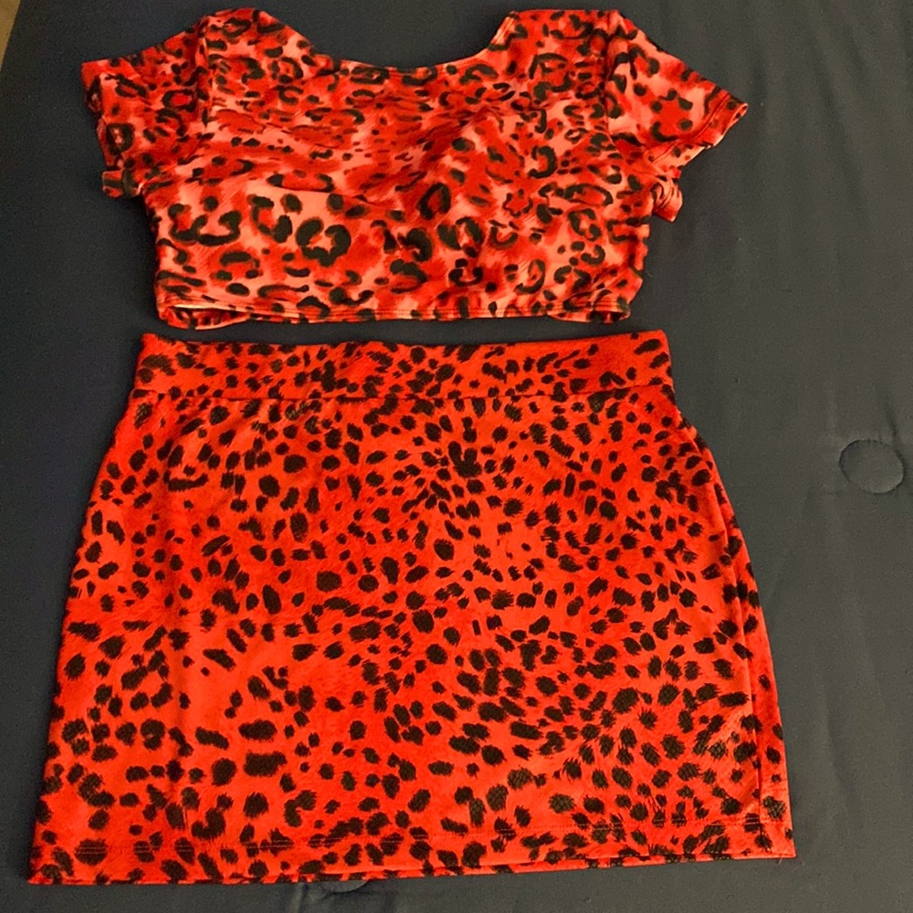 Animal Print Skirt Set